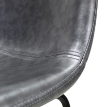 Cargar imagen en el visor de la galería, Phoenix Banco