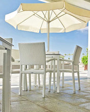 Cargar imagen en el visor de la galería, Monaco